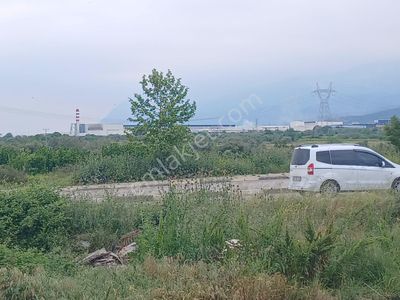 Arsa-Konut İmarlı