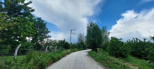 Arsa-Konut İmarlı