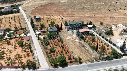 Arsa-Bağ & Bahçe