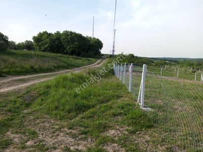Arsa-Tarla