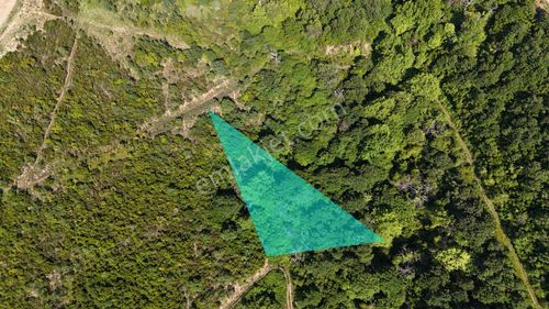 Arsa-Arazi
