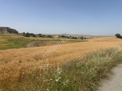 Arsa-Tarla