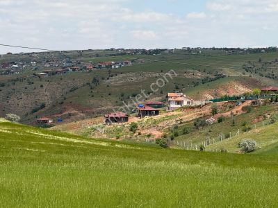 Arsa-Bağ & Bahçe