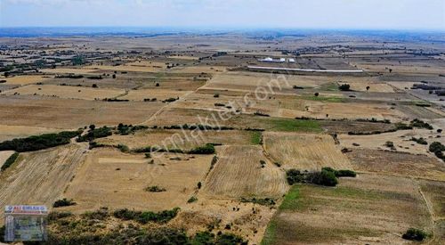 Arsa-Tarla