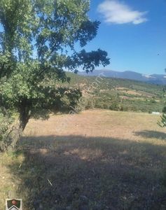 Arsa-Tarla