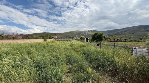 Arsa-Tarla