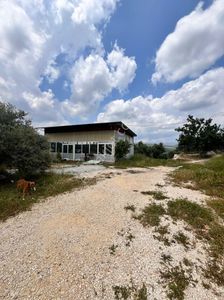 Arsa-Zeytinlik