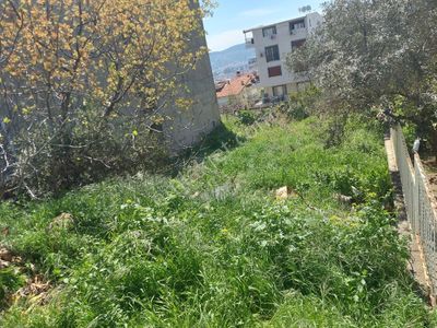 Arsa-Konut İmarlı