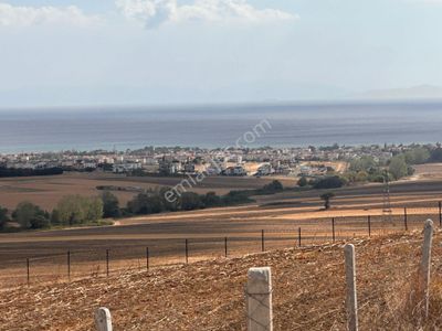 Arsa-Tarla