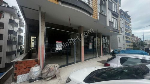 İşyeri-Dükkan & Mağaza