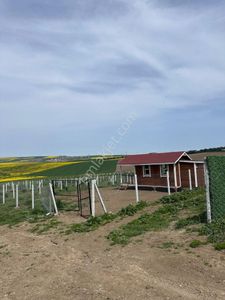 Arsa-Tarla