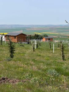 Arsa-Tarla