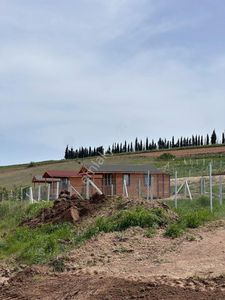 Arsa-Tarla