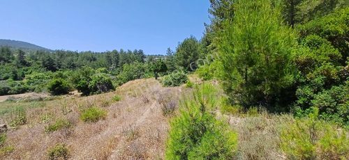 Arsa-Tarla