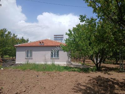 Arsa-Tarla