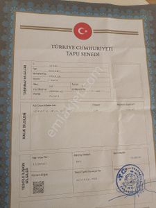 Arsa-Zeytinlik
