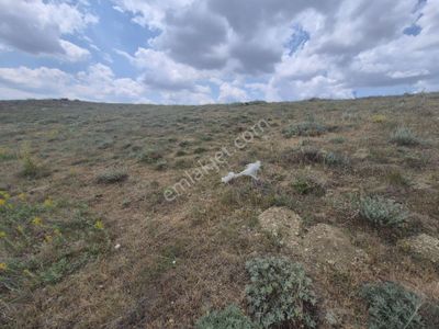 Arsa-Tarla