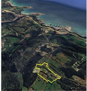 Arsa-Tarla