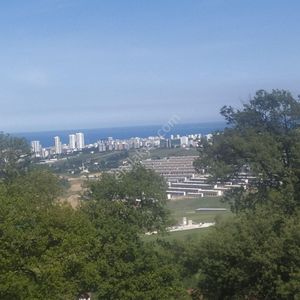 Arsa-Tarla