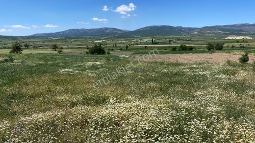 Arsa-Tarla