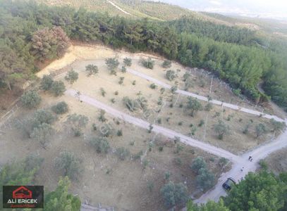 Arsa-Bağ & Bahçe