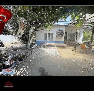 Arsa-Bağ & Bahçe