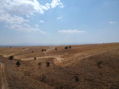 Arsa-Tarla