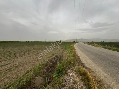 Arsa-Tarla