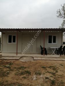 Arsa-Zeytinlik