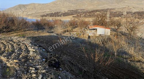 Arsa-Bağ & Bahçe