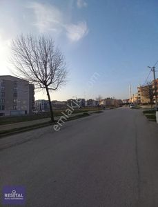 İşyeri-Dükkan & Mağaza
