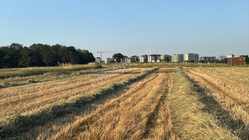 Arsa-Tarla