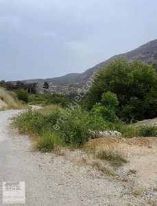 Arsa-Bağ & Bahçe