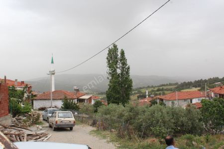 Arsa-Zeytinlik