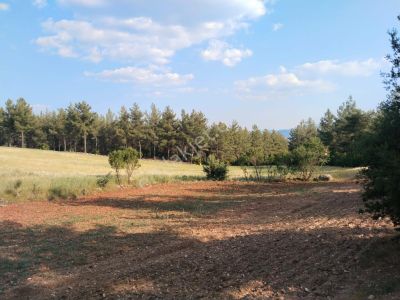 Arsa-Tarla