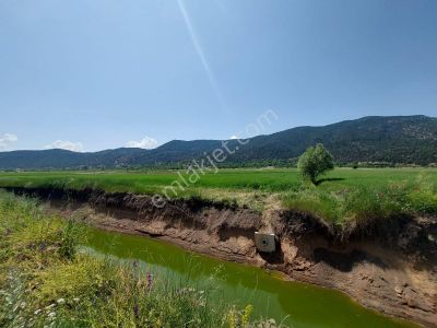 Arsa-Tarla
