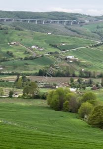 Arsa-Tarla