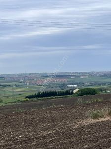 Arsa-Tarla