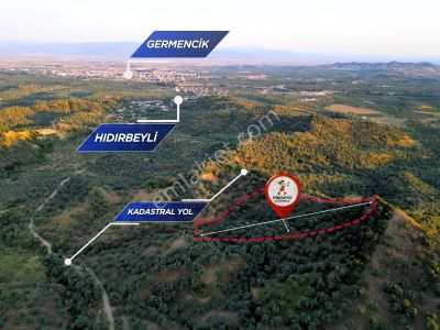 Arsa-Zeytinlik
