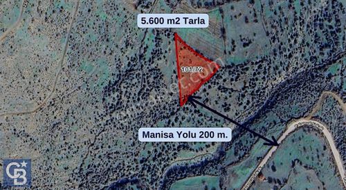 Arsa-Tarla