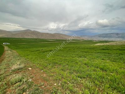 Arsa-Tarla