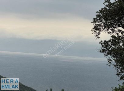 Arsa-Villa İmarlı