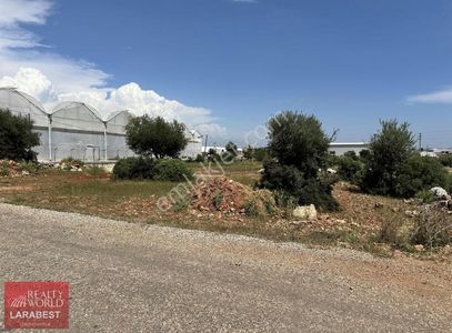 Arsa-Konut İmarlı