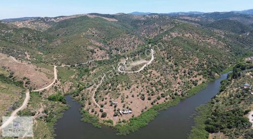 Arsa-Zeytinlik