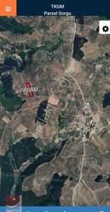 Arsa-Zeytinlik