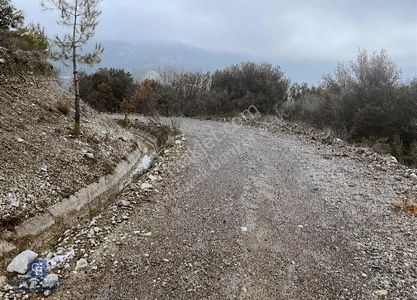 Arsa-Konut İmarlı