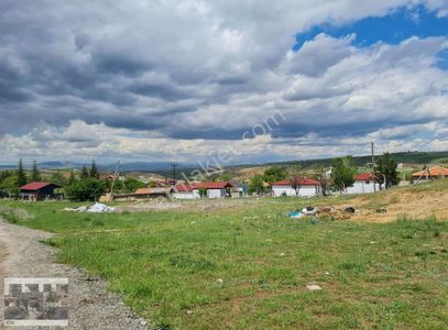 Arsa-Tarla