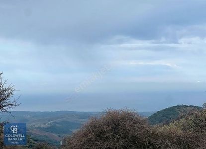 Arsa-Tarla