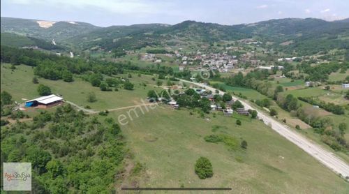 Arsa-Tarla
