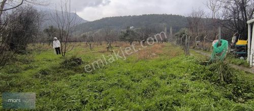 Arsa-Bağ & Bahçe